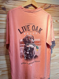 Live oak Terracotta Brown Lab