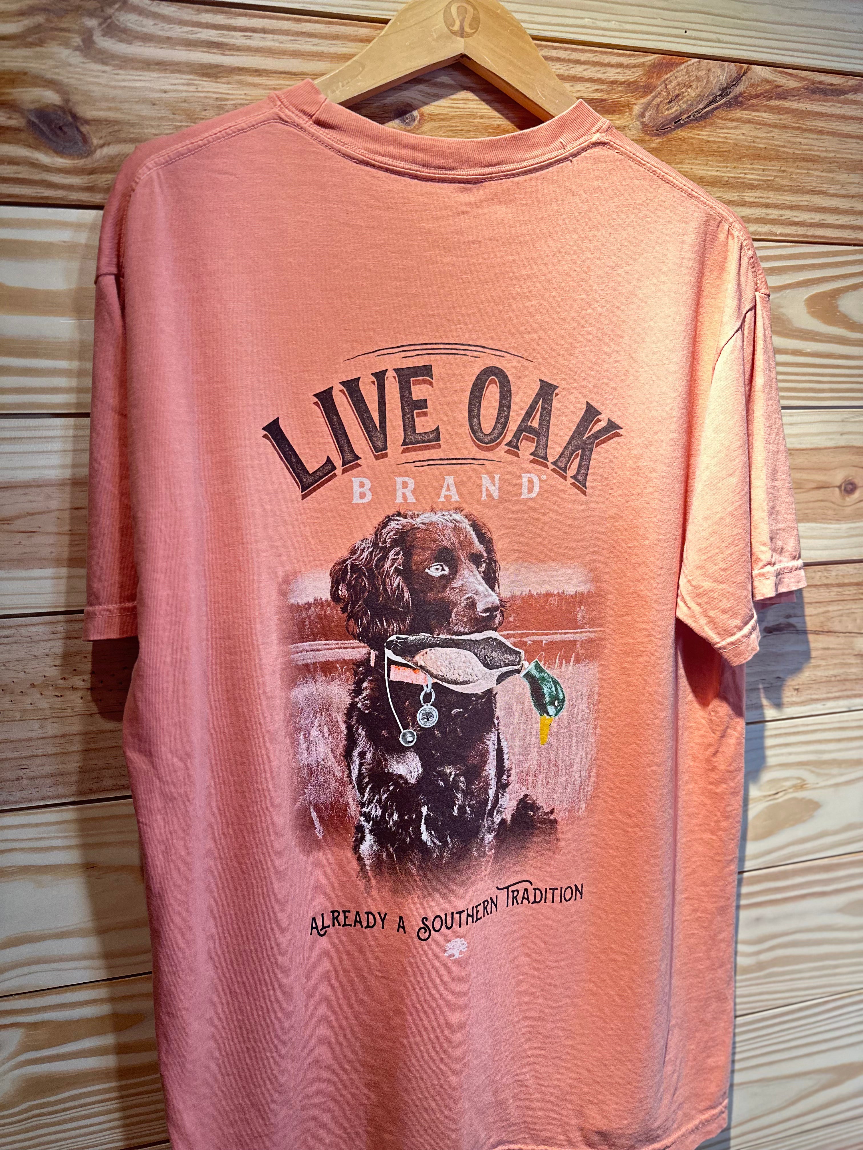 Live oak Terracotta Brown Lab